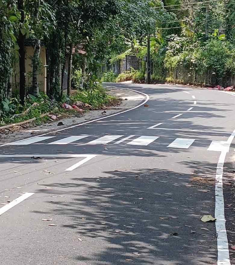 Junction with crossings